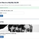 MySQL BLOB with PHP: Secure File Upload and Display