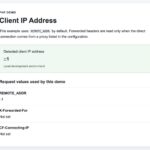 PHP application displaying the client IP address