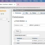 phpMyAdmin – How to Create a Database?