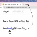 JavaScript – How to Open URL in New Tab