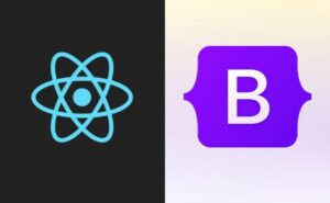React Bootstrap Dropdown With Autocomplete Search Phppot React Bootstrap Dropdown With Autocomplete Search Phppot