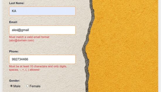 React Hook Form Validation